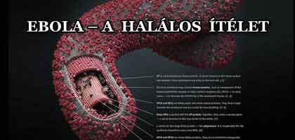 EBOLA – A HALÁLOS ÍTÉLET!