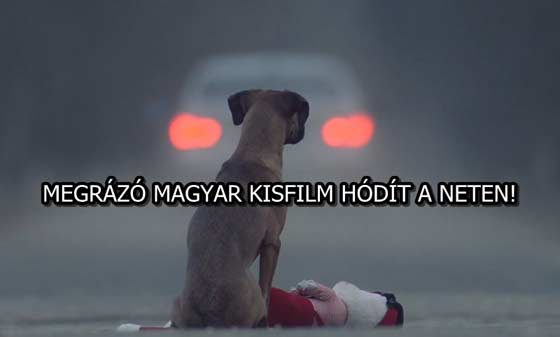 MEGRÁZÓ MAGYAR KISFILM HÓDÍT A NETEN!