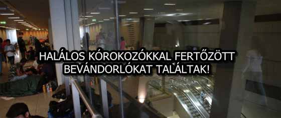 HALÁLOS KÓROKOZÓKKAL FERTŐZÖTT BEVÁNDORLÓKAT TALÁLTAK!