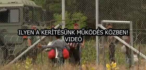 ILYEN A KERÍTÉSÜNK MŰKÖDÉS KÖZBEN! - VIDEÓ