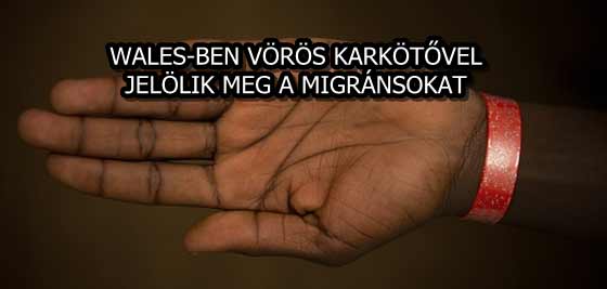 WALES-BEN VÖRÖS KARKÖTŐVEL JELÖLIK MEG A MIGRÁNSOKAT