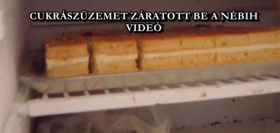 CUKRÁSZÜZEMET ZÁRATOTT BE A NÉBIH - VIDEÓ