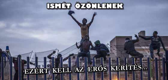 EZÉRT KELL AZ ERŐS KERÍTÉS-ISMÉT ÖZÖNLENEK A MIGRÁNSOK.