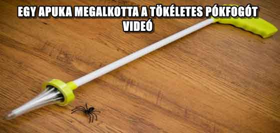 EGY APUKA MEGALKOTTA A TÖKÉLETES PÓKFOGÓT - VIDEÓ